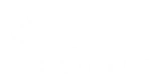 Élan créateur